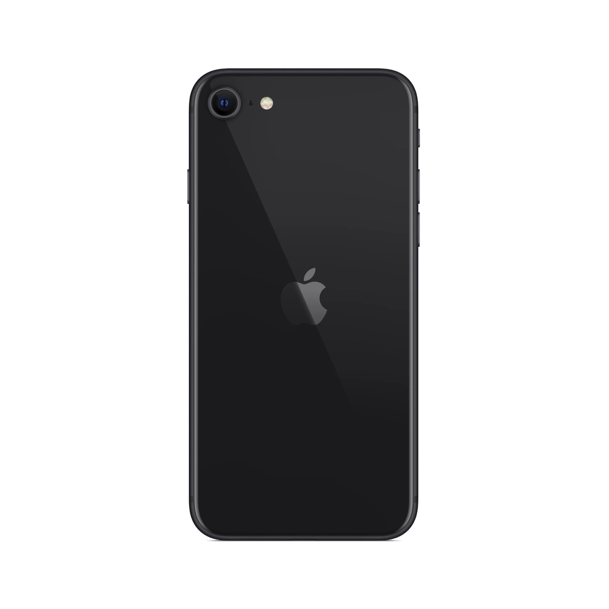iPhone SE — back panel with single 12MP rear camera